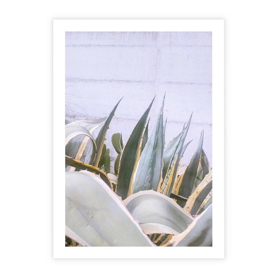 Plakat bez ramy 21x30 - Sukulentowe liście - liście, sukulenty