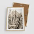 Plakat w ramie 50x70 - Letni Plon - zboże, kłosy zboża - rama drewno