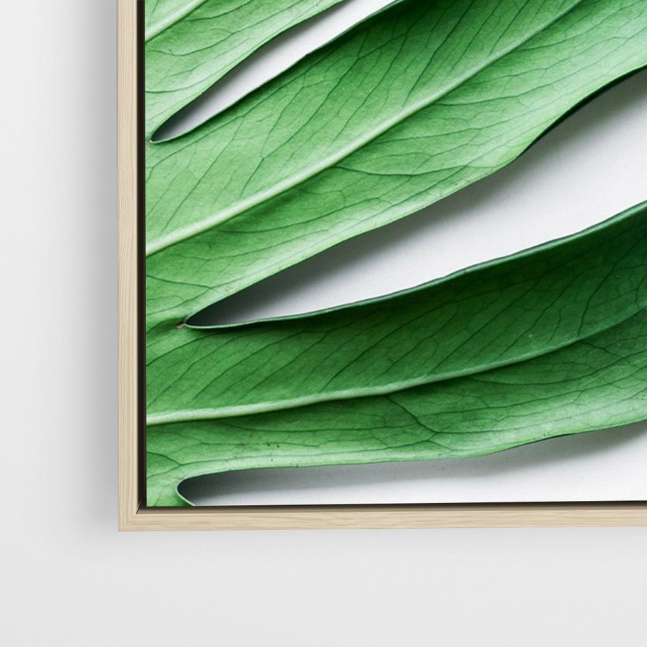 Obraz w ramie 80x120 - Monstera - Liście Kwiaty - monstera, liście - rama drewno