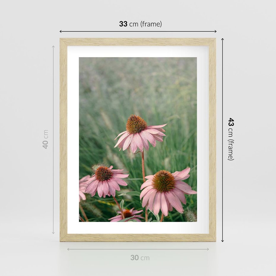 Plakat w ramie 30x40 - Natura w Pełnym Blasku - kwiaty na łące, różowe kwiaty polne - rama drewno