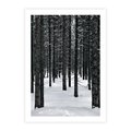 Plakat bez ramy 30x40 - Zimowe Drzewa: Śnieg na Pniach - drzew w zimi, pnie drzew