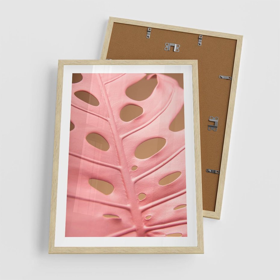 Plakat w ramie 50x70 - Różowa monstera w pełnym rozkwicie - różowa, monstera - rama drewno