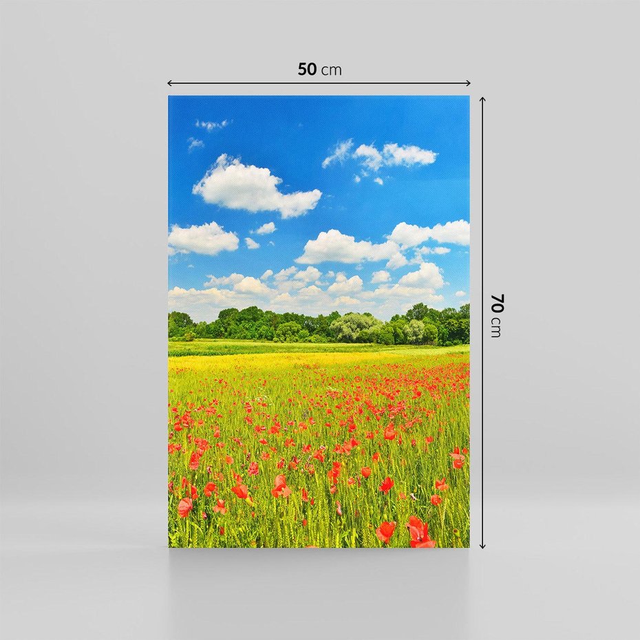 Obraz na płótnie 50x70 - Malownicze maki na łące - maki, łąka