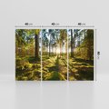 Obraz na płótnie 120x80 - Obfitość natury - las, drzewa