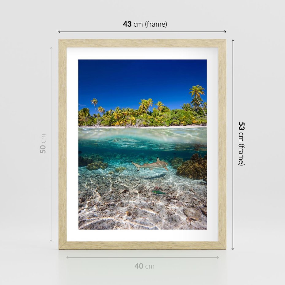 Plakat w ramie 40x50 - Tropikalne Morze i Kolorowa Rafa - tropikalne, morze - rama drewno