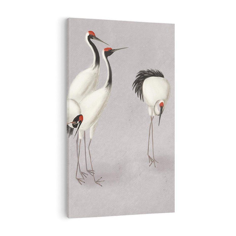 Obraz na płótnie 70x100 - Spojrzenie wstecz w pędzlu - szkic rysunek, japońskie żurawie