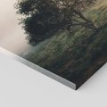 Obraz na płótnie 60x60 - Zamglona Prostota - artystyczna fotografia, samotne drzewo na zamglonej łące