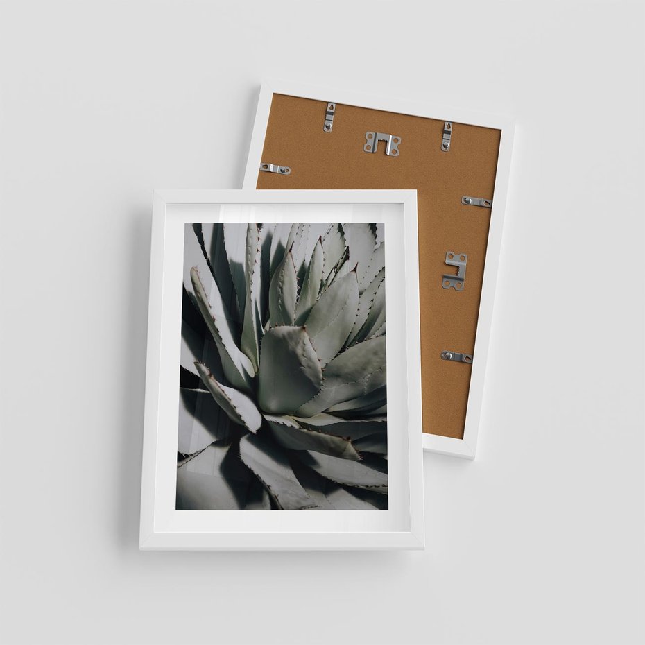 Plakat w ramie 30x40 - Egzotyczny Raj - sukulenty, kaktusy - rama biała