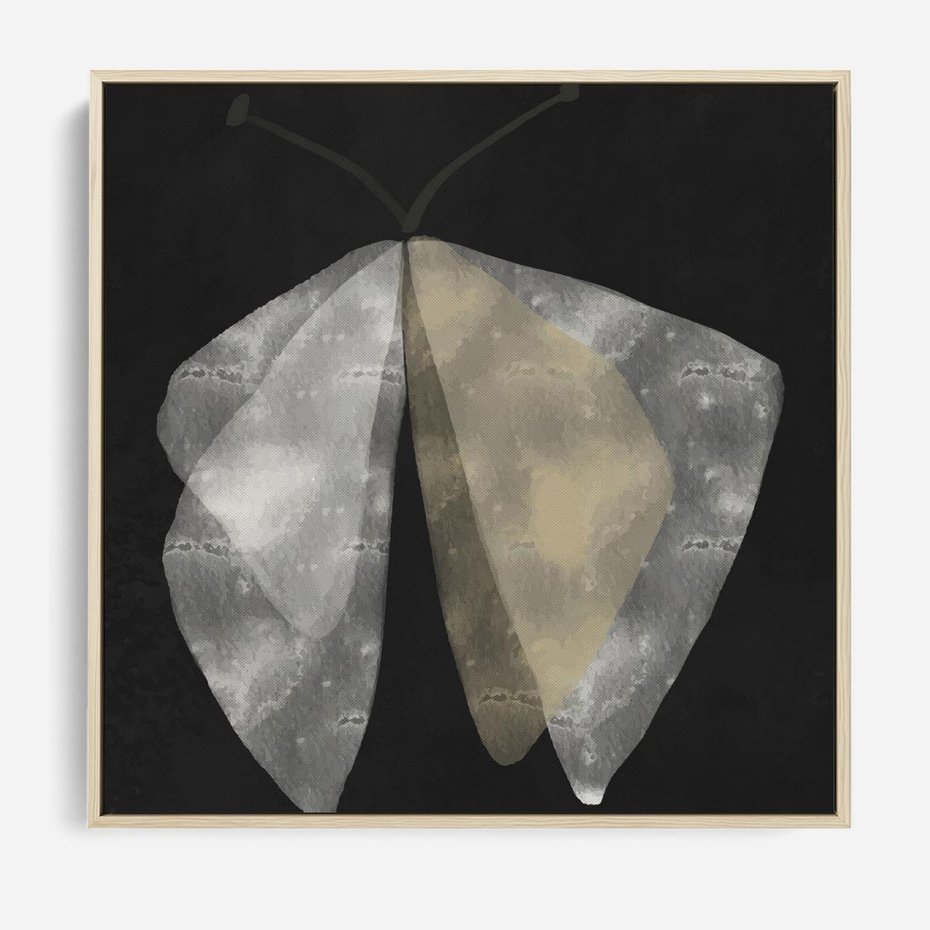 Obraz w ramie 50x50 - Obce Powidoki - abstrakcyjna ćma, mroczna atmosfera - rama drewno