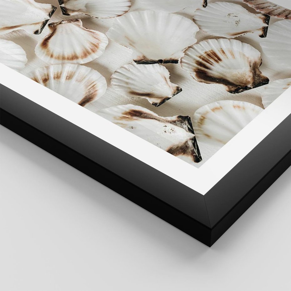 Plakat w ramie 30x40 - Białe Muszle - białe muszle, ujęcie z góry - rama czarna