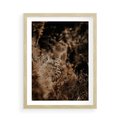 Plakat w ramie 50x70 - Delikatne Detale - paprocie, brąz - rama drewno