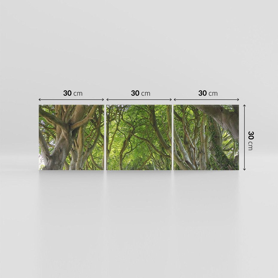 Obraz na płótnie 90x30 - Magiczny Las - drzewa, las
