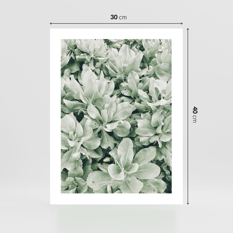 Plakat bez ramy 30x40 - Liście w Jasnych Odcieniach Zielonego - liście, jasna zieleń fotografia