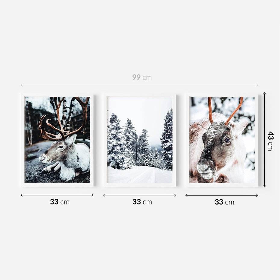 Zestaw obrazy w ramie 30x40 galeria - Renifer, zima, las, pejzaż, natura - rama biała