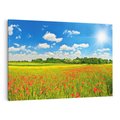 Obraz na płótnie 120x80 - Malownicze maki na łące - maki, łąka