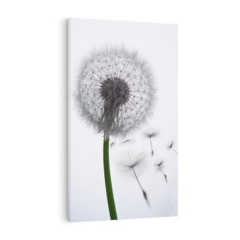Obraz na płótnie 80x120 - Lekkość Przemijania - dmuchawiec, makro