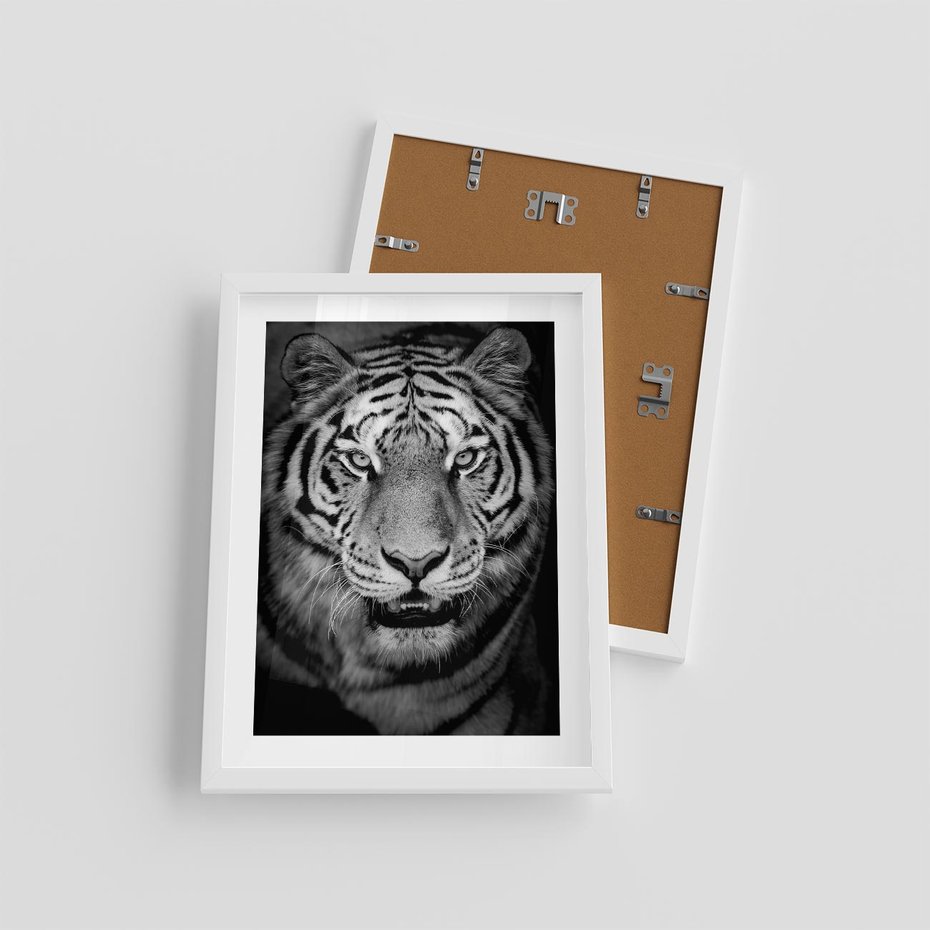 Plakat w ramie 30x40 - Tygrys Czarno-Biały: Siła i Delikatność - tygrys, czarno - rama biała