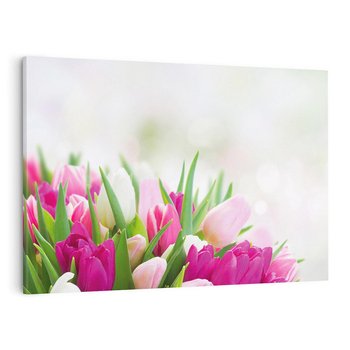 Obraz na płótnie 120x80 - Tulipany w pełnym rozkwicie - tulipany, kwiaty