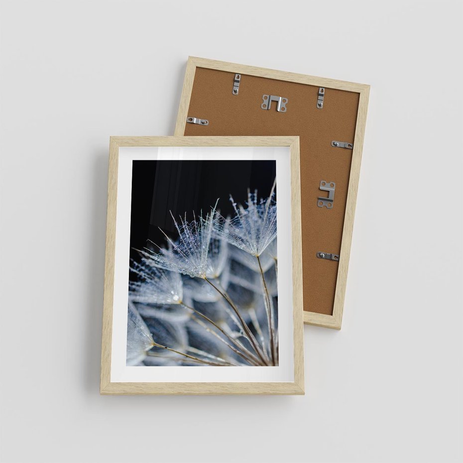 Plakat w ramie 30x40 - Makro piękno dmuchawców - makro, dmuchawce - rama drewno