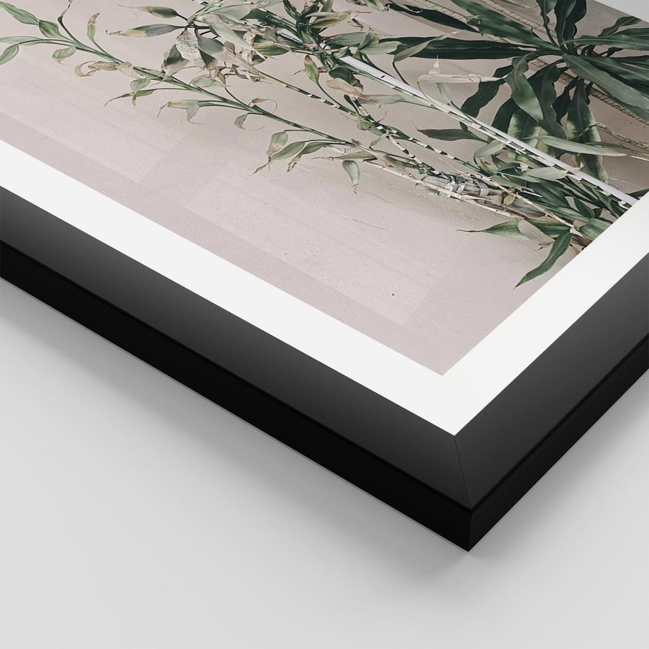 Plakat w ramie 50x70 - Egzotyczna Kompozycja - liście, rośliny tropikalne na tle ściany - rama czarna