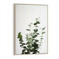 Obraz w ramie 80x120 - Żywa eukaliptusowa zieleń - eukaliptus, zielone - rama drewno