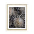 Plakat w ramie 40x50 - Ulotna Piękność Natury - makro, dmuchawce - rama drewno