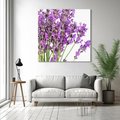 Obraz na płótnie 40x40 - Pola lawendy w pełnym rozkwicie - lawenda, kwiaty
