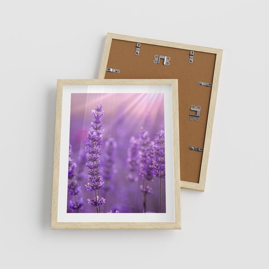 Plakat w ramie 40x50 - Fioletowa harmonia lawendy - lawenda, fiolet - rama drewno