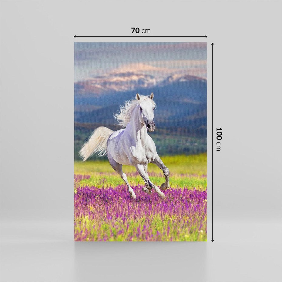 Obraz na płótnie 70x100 - Koń Góry: Spotkanie z Wielką Przyrodą - koń, góry