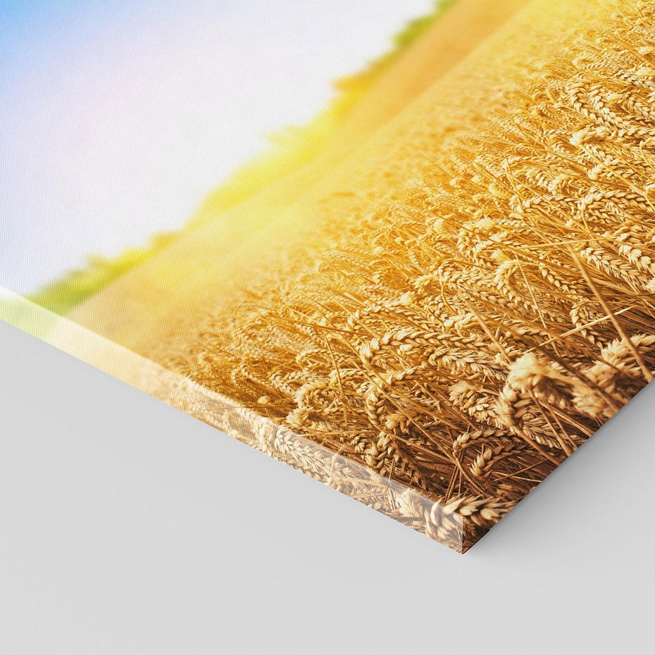 Obraz na płótnie 30x30 - Żyzne Pola - pole, pszenicy