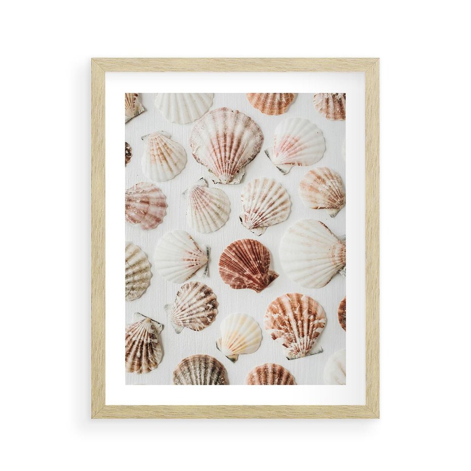 Plakat w ramie 40x50 - Morska Delikatność: Muszelki na Białym Tle - kompozycja, morskie muszelki na białym tle - rama drewno