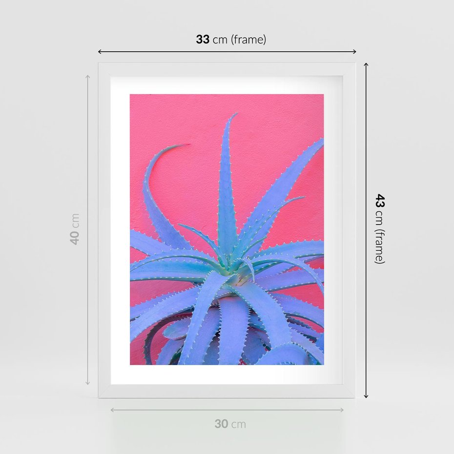 Plakat w ramie 30x40 - Piękno Pustyni - kaktusy, liście - rama biała