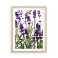 Plakat w ramie 50x70 - Fioletowa harmonia lawendy - lawenda, fiolet - rama drewno