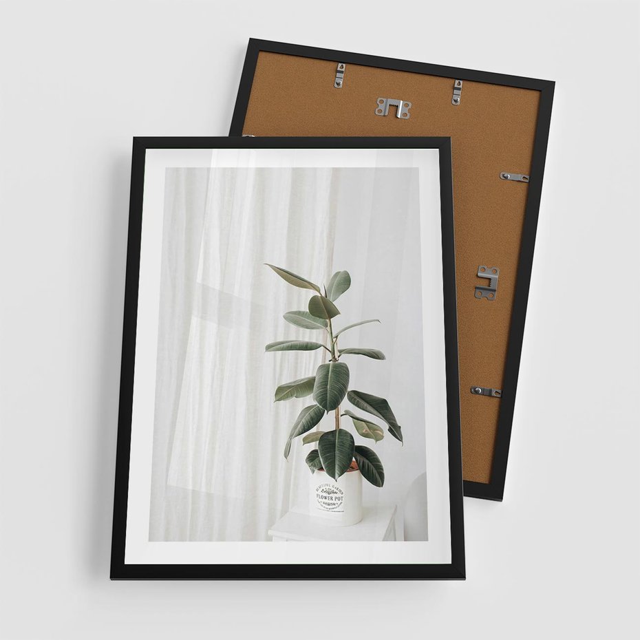Plakat w ramie 50x70 - Kwiat w Bieli - kwiat w doniczce, białe wnętrze - rama czarna