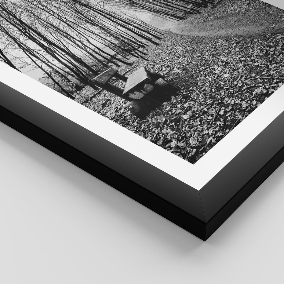 Plakat w ramie 30x40 - Spadające Liście - czarno białe zdjecie, park - rama czarna