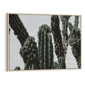 Obraz w ramie 120x80 - Boho oaza wśród kaktusów - kaktusy, pustynia - rama drewno