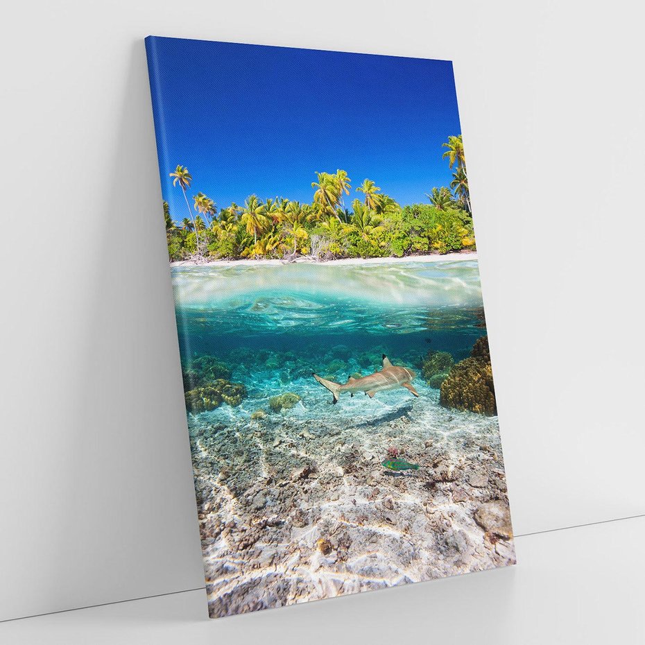 Obraz na płótnie 80x120 - Tropikalne Morze i Kolorowa Rafa - tropikalne, morze