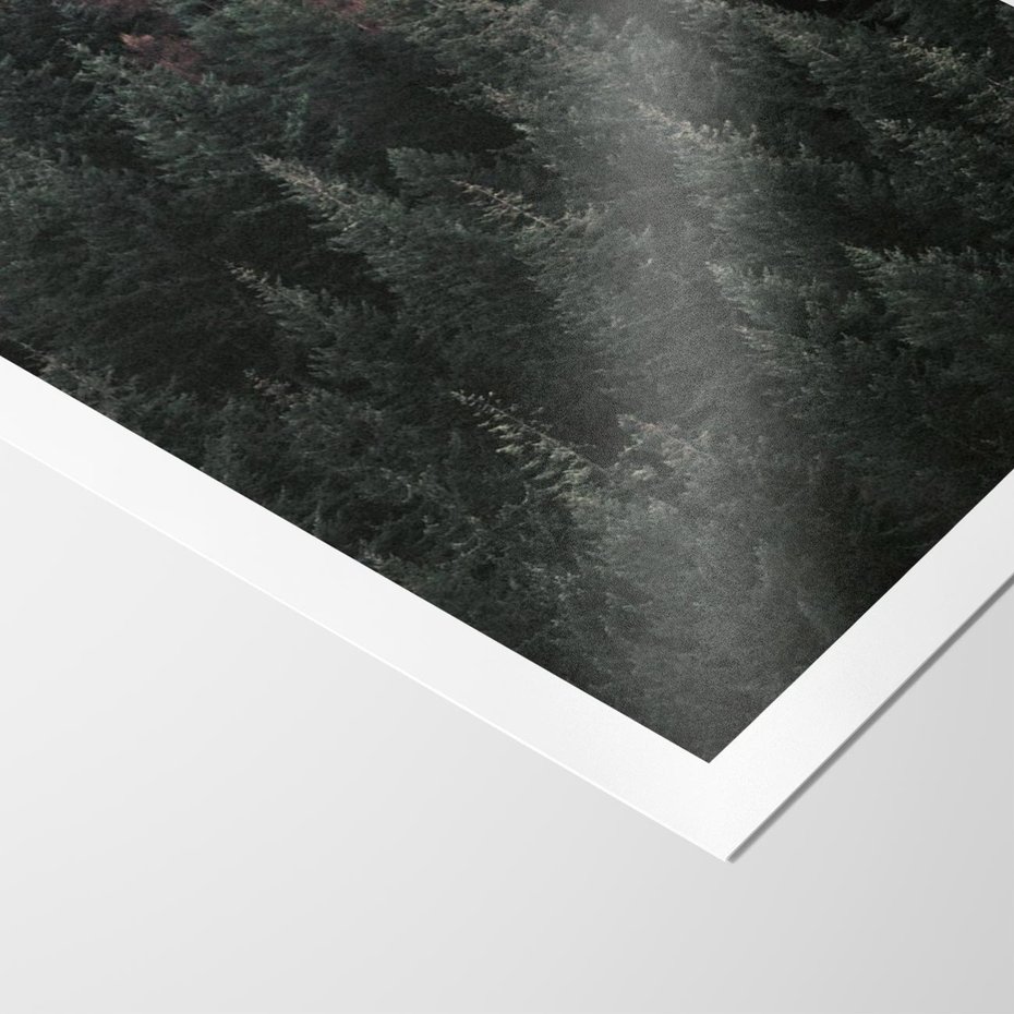 Plakat bez ramy 21x30 - Wysoko nad Iglastym Lasem - las, perspektywa