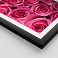 Plakat w ramie 30x40 - Romantyczne róże w pełnym rozkwicie - róże, kwiaty - rama czarna