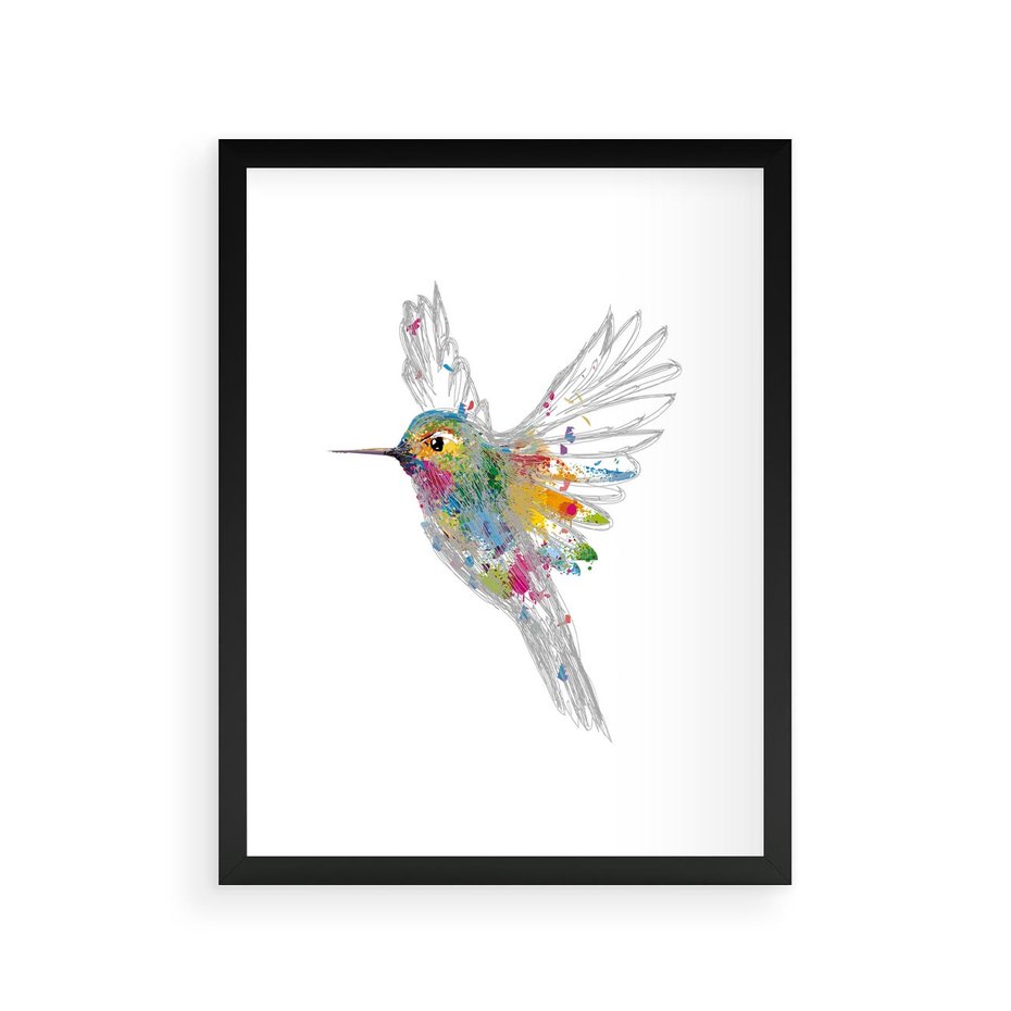 Plakat w ramie 30x40 - Koliber w akwareli - akwarela, koliber - rama czarna