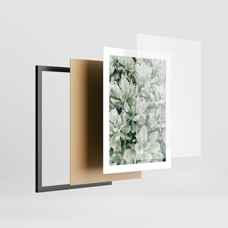 Plakat w ramie 30x40 - Liście w Jasnych Odcieniach Zielonego - liście, jasna zieleń fotografia - rama czarna