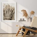 Plakat bez ramy 30x40 - Letni Plon - zboże, kłosy zboża