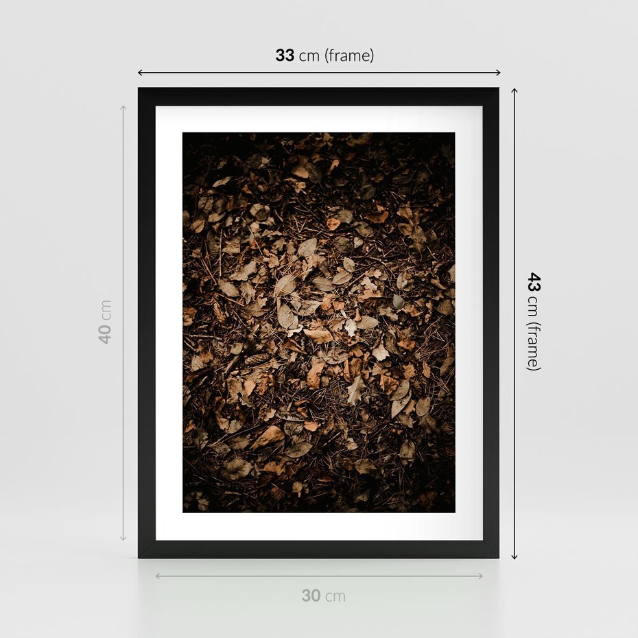 Plakat w ramie 30x40 - Brązowe Liście w Scenerii - suche liście jesień brąz - rama czarna