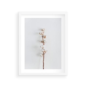 Plakat w ramie 40x50 - Minimalistyczna Gałązka Bawełny - bawełna, gałązka bawełny - rama biała