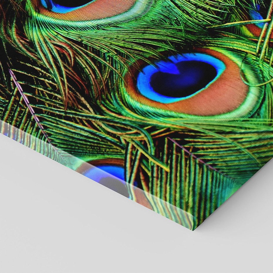 Obraz na płótnie 150x50 - Pawi Ogon - Piękno i Wspaniałość - paw, pióra