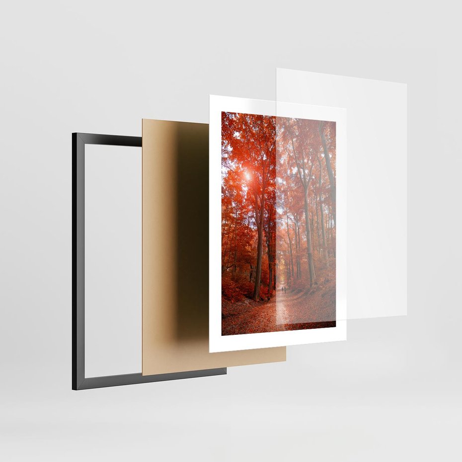 Plakat w ramie 30x40 - Magia jesiennego lasu - las, jesień - rama czarna