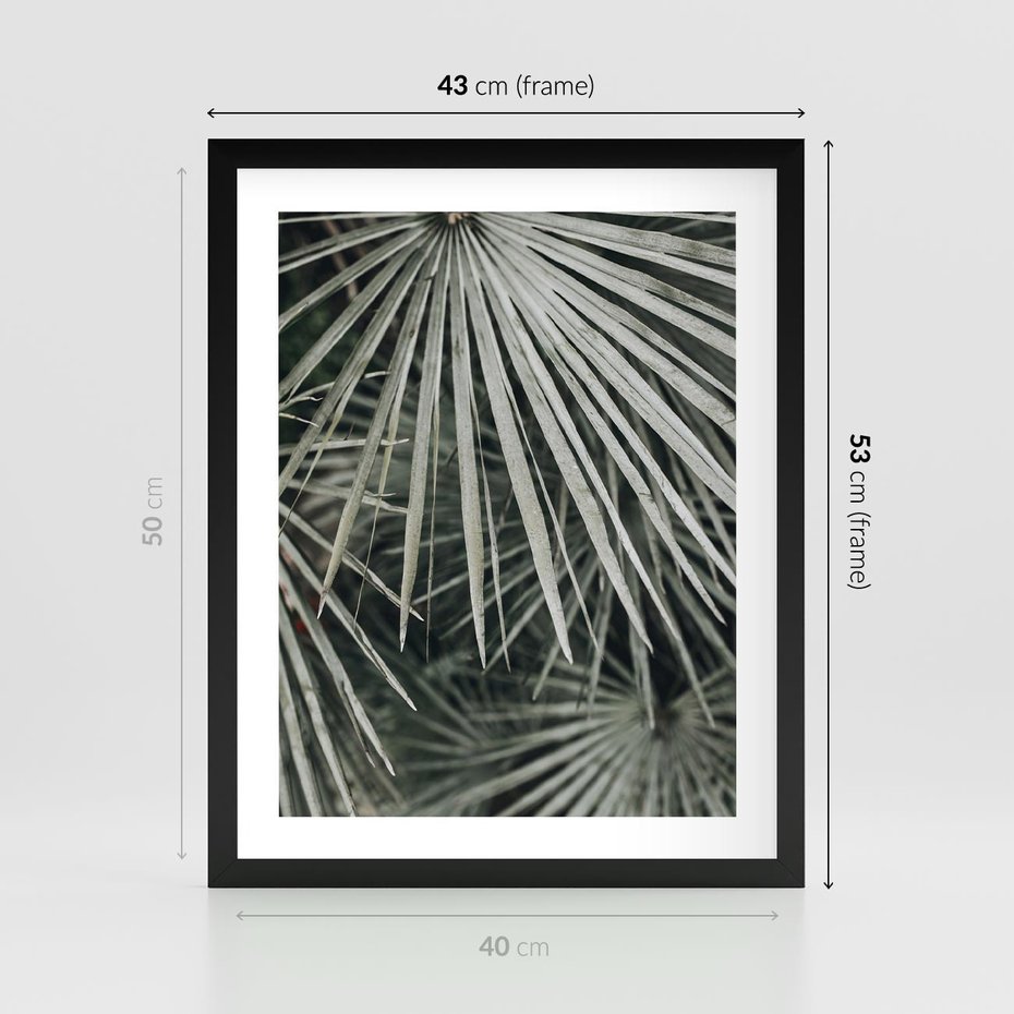 Plakat w ramie 40x50 - Ujęcie Tropikalnej Natury - palmy, liście palmy - rama czarna