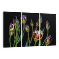 Obraz na płótnie 120x80 - urok kwiatów - kwiat, kwiaty