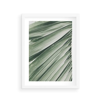 Plakat w ramie 40x50 - Tropikalna Oaza - zielony liść palmy, zieleń - rama biała