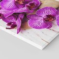 Obraz na płótnie 80x80 - Relaksujące spa w otoczeniu orchidei - spa, świece